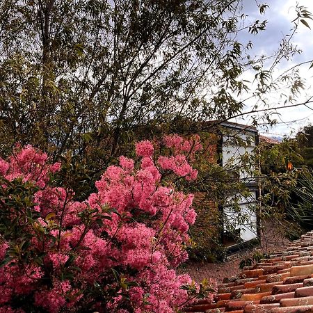 Casa Lloret Cuenca Extérieur photo