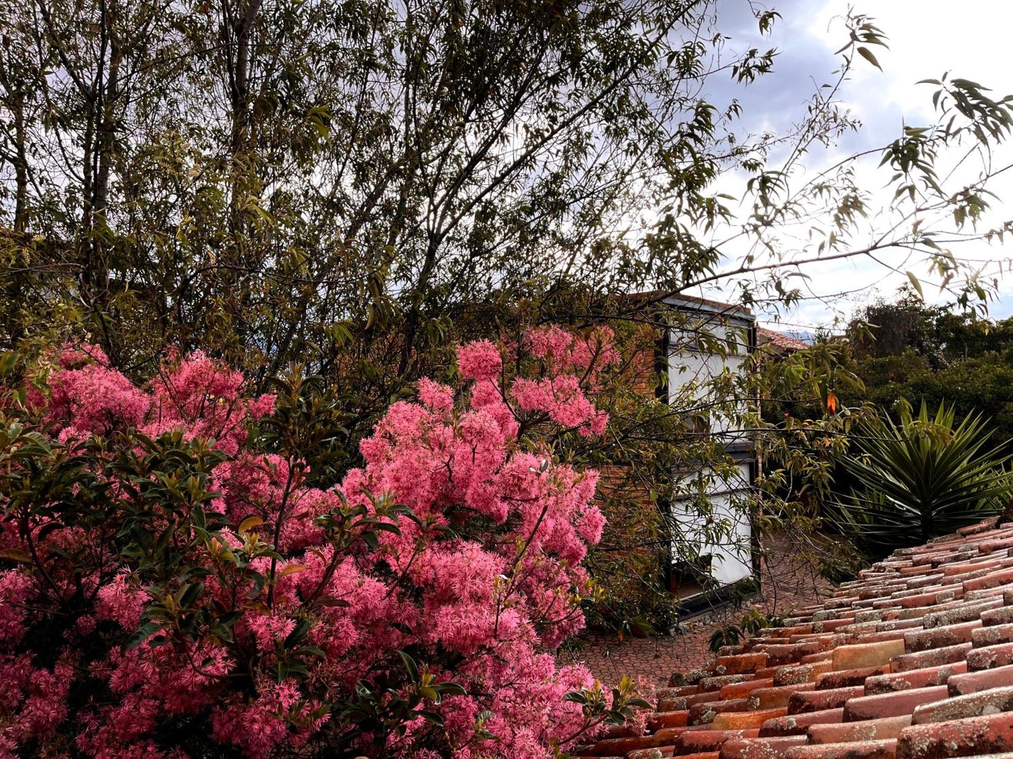 Casa Lloret Cuenca Extérieur photo