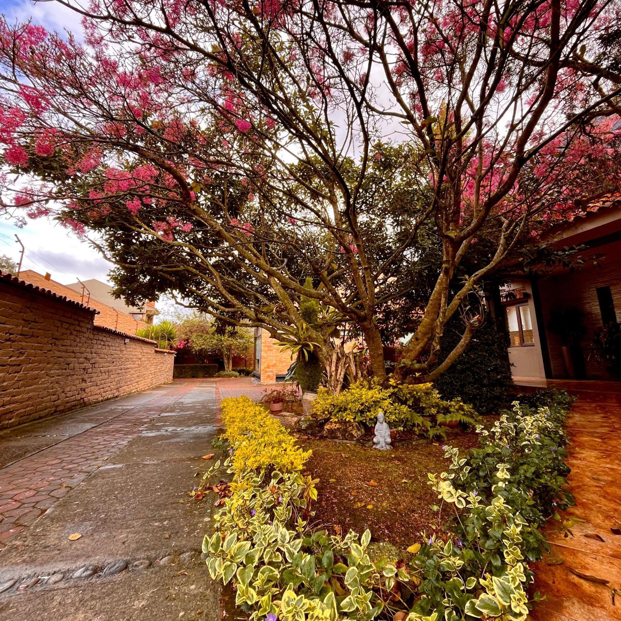 Casa Lloret Cuenca Extérieur photo